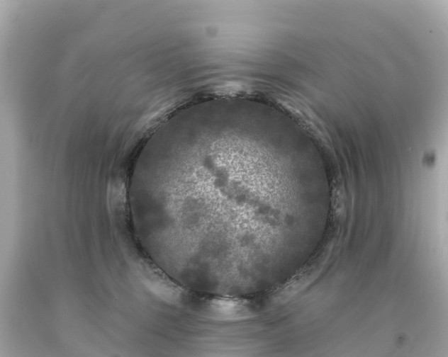 X0000094230375200711021209