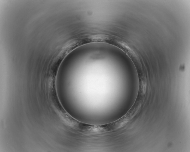 X0000094230379200711021209