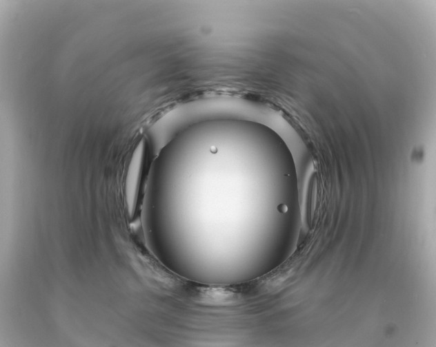 X0000094230380200711021209