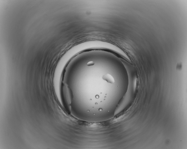 X0000094230382200711021209