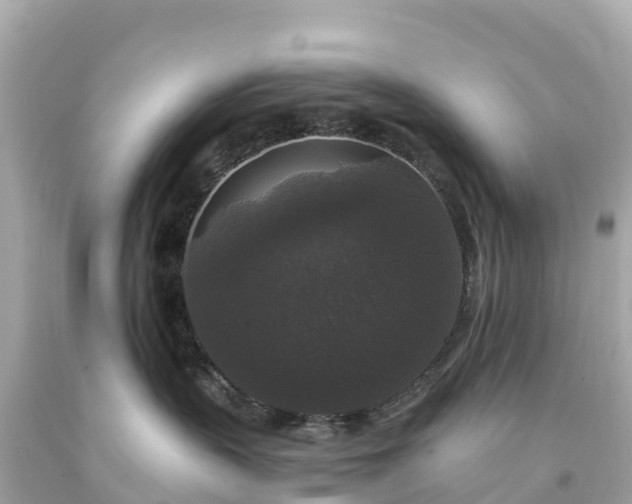 X0000094230383200711021209