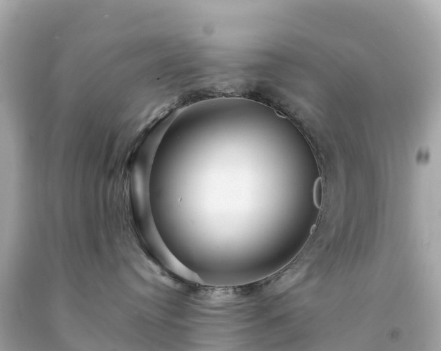 X0000094230384200711021209