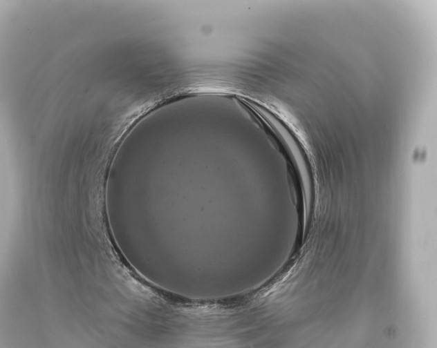 X0000094230385200711021208