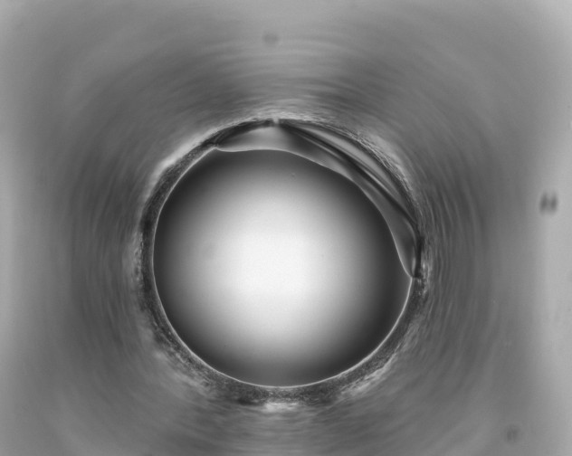 X0000094230388200711021208