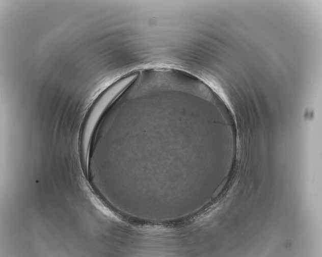 X0000094230389200711021208