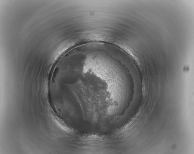 X0000094230390200711021208