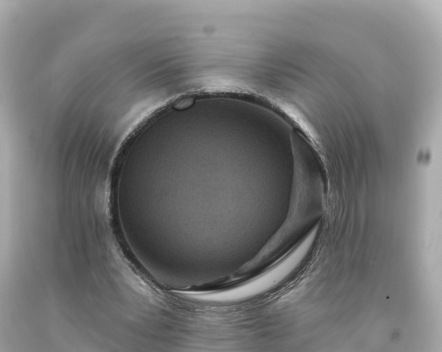 X0000094230391200711021208