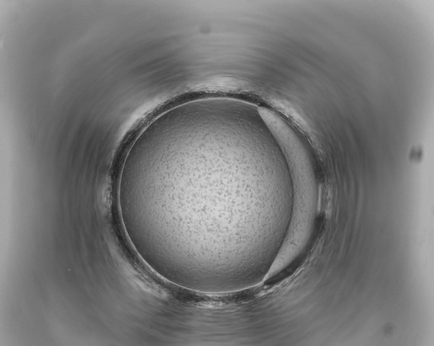 X0000094230392200711021208