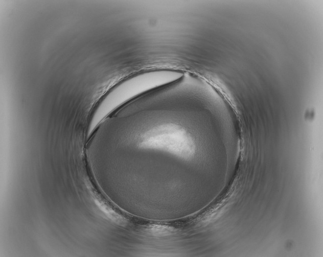 X0000094230393200711021208