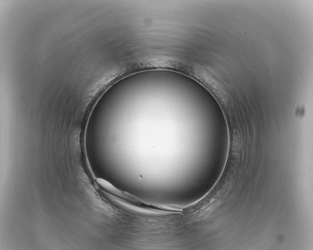 X0000094230394200711021208