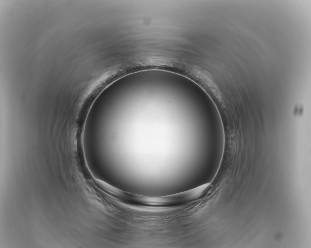 X0000094230395200711021208