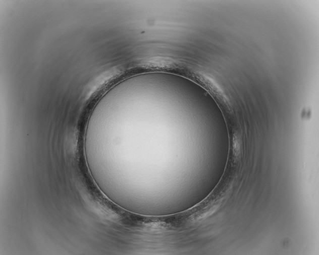 X0000094230396200711021208