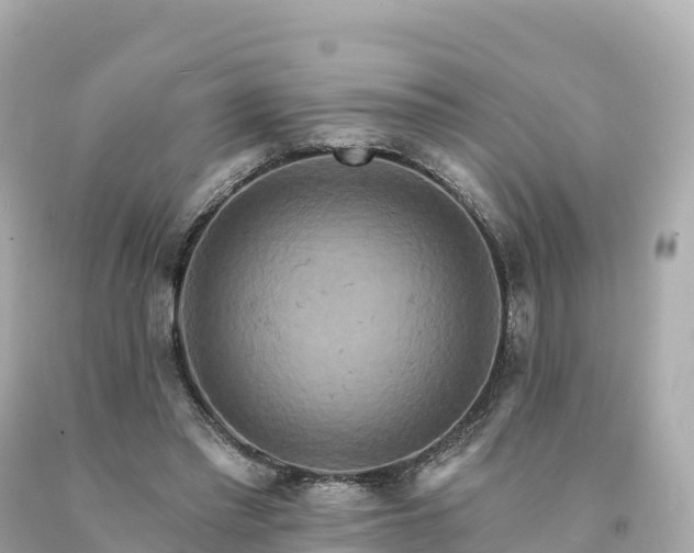 X0000094230397200711021208