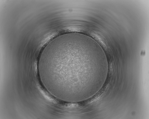 X0000094230398200711021208