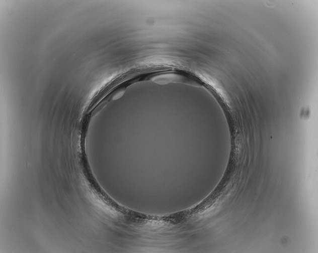 X0000094230399200711021208