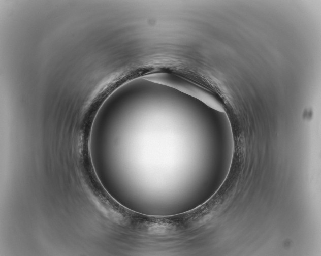 X0000094230400200711021208