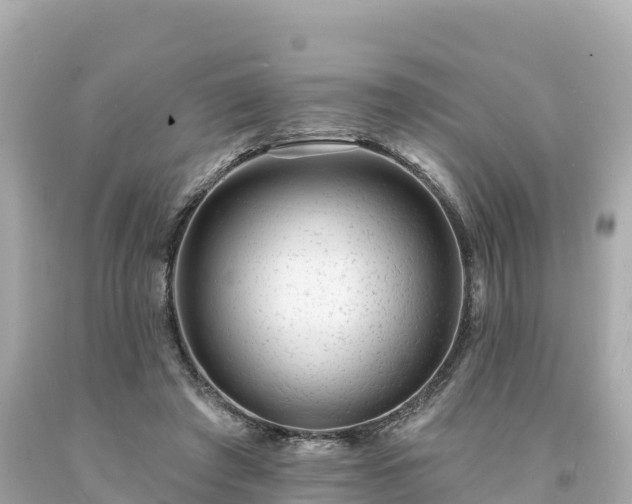 X0000094230401200711021208