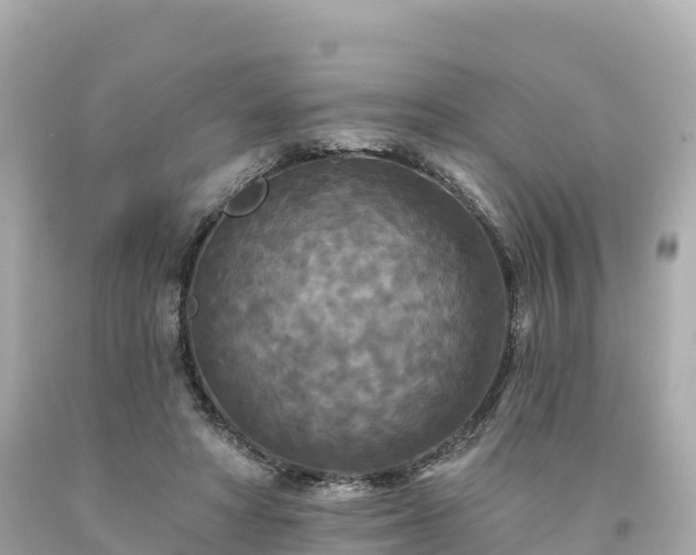 X0000094230402200711021208