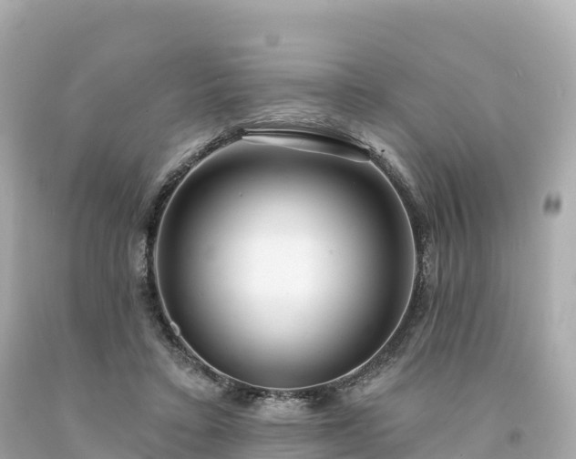 X0000094230403200711021208