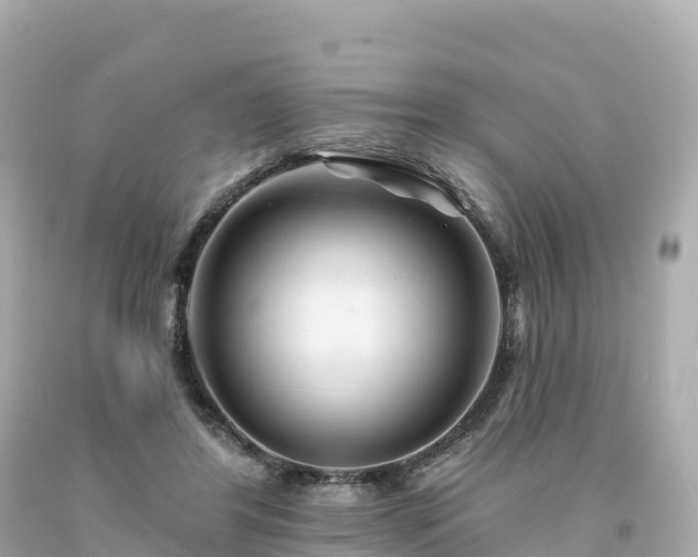 X0000094230404200711021208