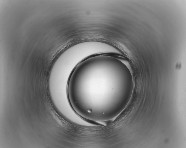 X0000094230405200711021208