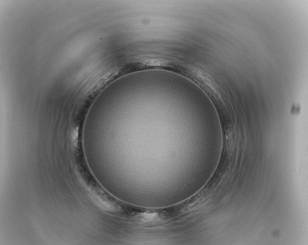 X0000094230406200711021208