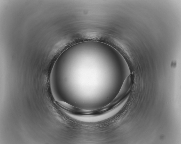 X0000094230407200711021208