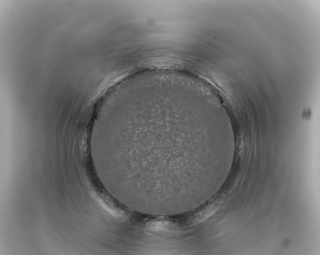 X0000094230408200711021208