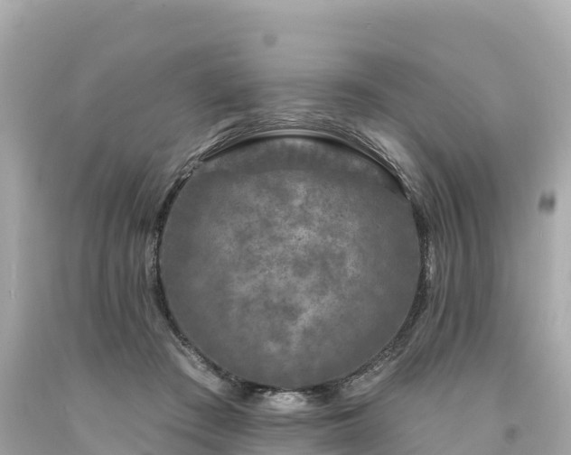 X0000094230409200711021208