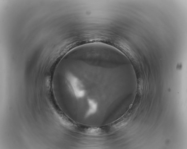 X0000094230410200711021208