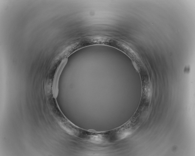 X0000094230411200711021208