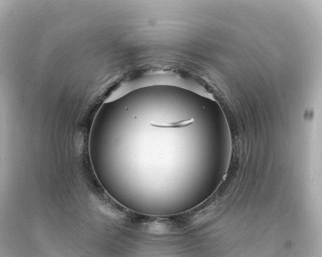 X0000094230412200711021208