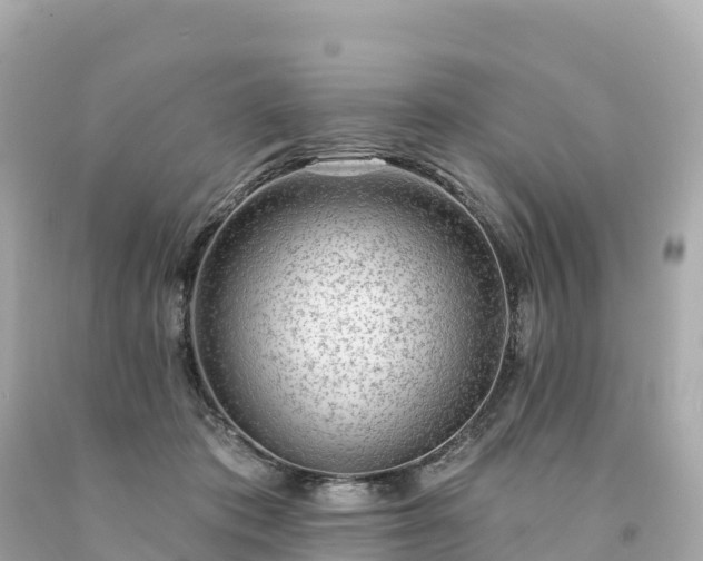 X0000094230413200711021208