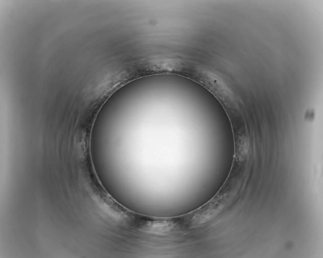 X0000094230414200711021208