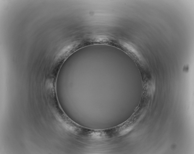 X0000094230415200711021208