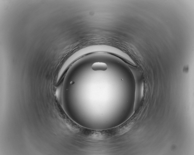 X0000094230416200711021208