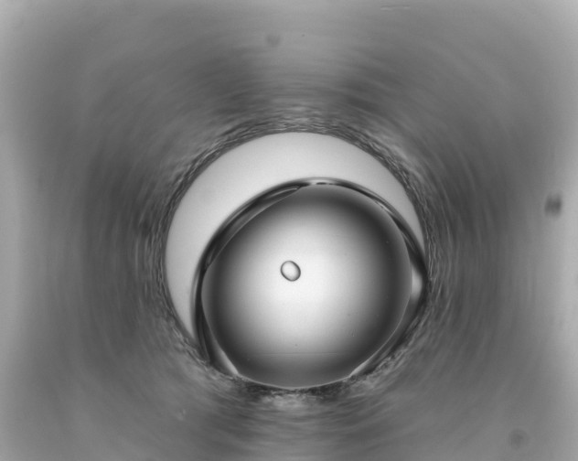 X0000094230417200711021208