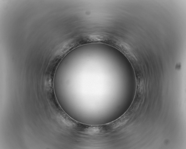 X0000094230418200711021208