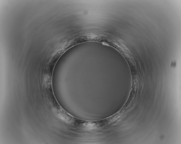 X0000094230419200711021208