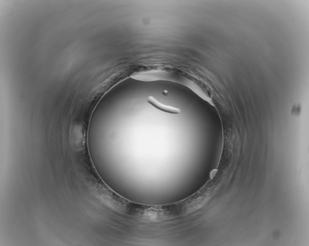 X0000094230420200711021208