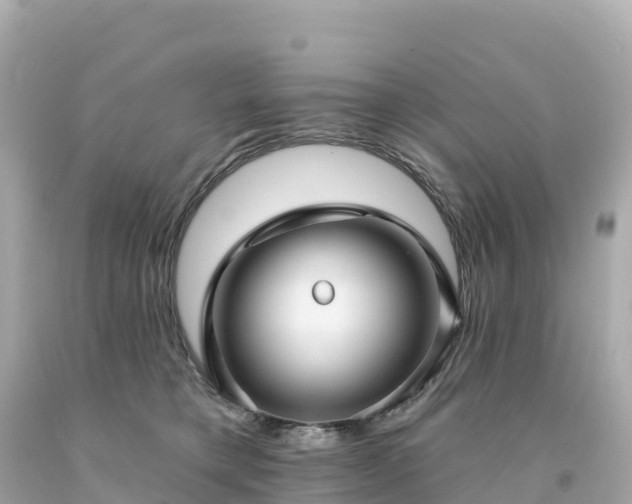 X0000094230421200711021208