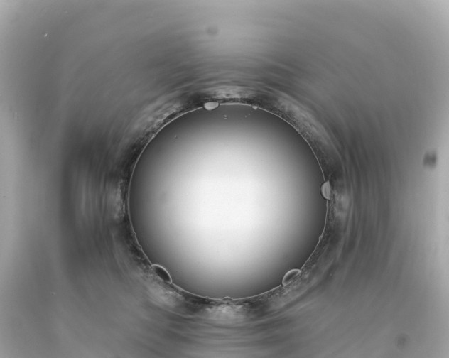 X0000094230422200711021208