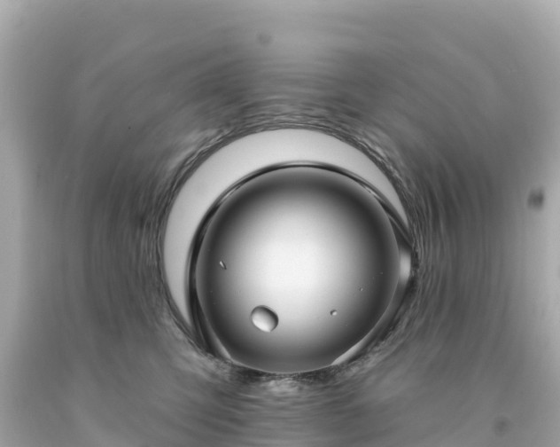 X0000094230423200711021208