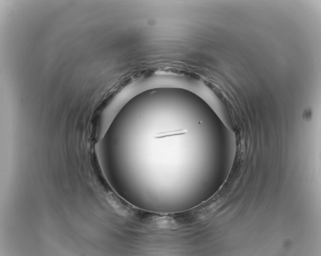 X0000094230424200711021208