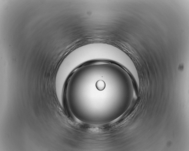 X0000094230425200711021207