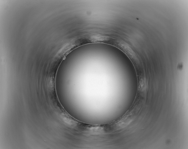 X0000094230426200711021207