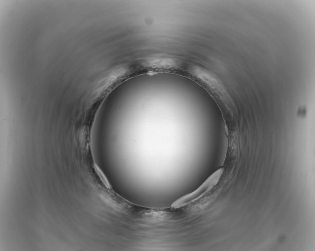 X0000094230428200711021207