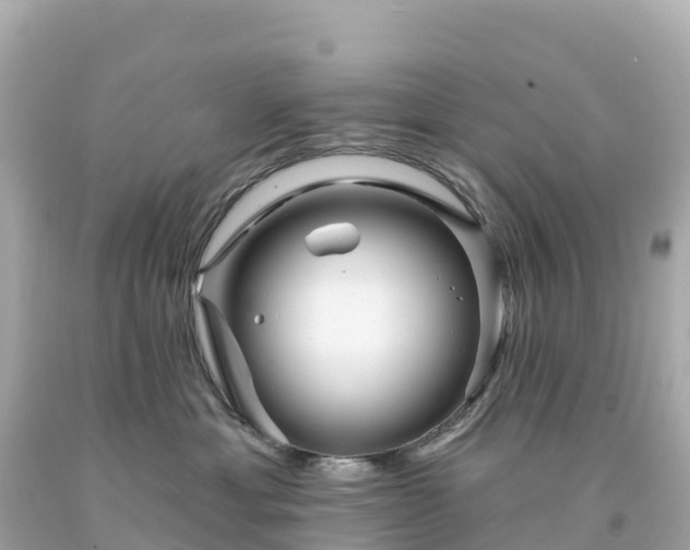 X0000094230429200711021207