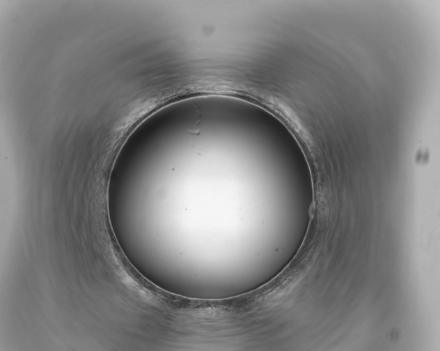 X0000094230433200711021207