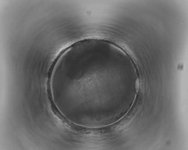 X0000094230434200711021207